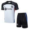 Chandal del Barcelona Manga Corta 2023-2024 Gris - Pantalon Corto Chandal del Barcelona Manga Corta 2023-2024 Gris - Pantalon Corto