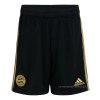 2ª Pantalones Bayern Munich 2021-2022 2ª Pantalones Bayern Munich 2021-2022