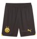 1ª Pantalones Borussia Dortmund 2023-2024