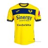Tailandia 2ª Camiseta Hellas Verona 2023-2024 Tailandia 2ª Camiseta Hellas Verona 2023-2024