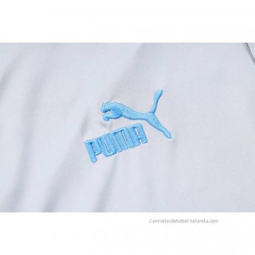 Camiseta Polo del Palmeiras 2023-2024 Gris