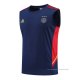 Camiseta de Entrenamiento Ajax Sin Mangas 2022-2023 Azul