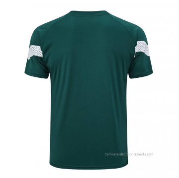 Camiseta de Entrenamiento Palmeiras 2023-2024 Verde