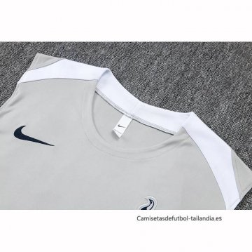 Camiseta de Entrenamiento Tottenham Hotspur Sin Mangas 2025-2026 Gris
