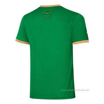 Tailandia Camiseta Palmeiras Special 2021