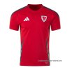 1ª Camiseta Gales 2024 1ª Camiseta Gales 2024