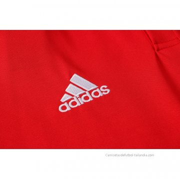 Camiseta Polo del Ajax 2021-2022 Rojo