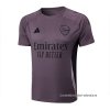 Camiseta de Entrenamiento Arsenal 2024-2025 Gris Purpura Camiseta de Entrenamiento Arsenal 2024-2025 Gris Purpura