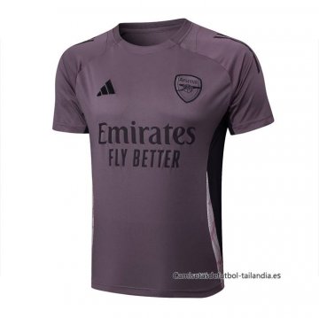 Camiseta de Entrenamiento Arsenal 2024-2025 Gris Purpura Camiseta de Entrenamiento Arsenal 2024-2025 Gris Purpura