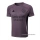 Camiseta de Entrenamiento Arsenal 2024-2025 Gris Purpura