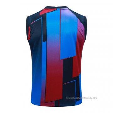 Camiseta de Entrenamiento Barcelona Sin Mangas 2023-2024 Azul y Rojo