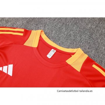 Camiseta de Entrenamiento Bayern Munich 2024-2025 Rojo