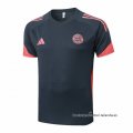 Camiseta de Entrenamiento Bayern Munich 2025-2026 Gris Oscuro