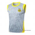 Camiseta de Entrenamiento Borussia Dortmund Sin Mangas 2025-2026 Gris
