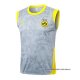 Camiseta de Entrenamiento Borussia Dortmund Sin Mangas 2025-2026 Gris