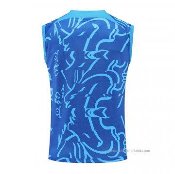 Camiseta de Entrenamiento Chelsea Sin Mangas 2022-2023 Azul