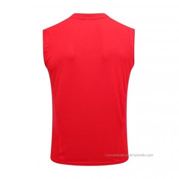 Camiseta de Entrenamiento Flamengo Sin Mangas 2023-2024 Rojo