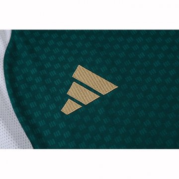 Camiseta de Entrenamiento Italia Sin Mangas 2025-2026 Verde