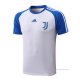 Camiseta de Entrenamiento Juventus Teamgeist 2022 Blanco