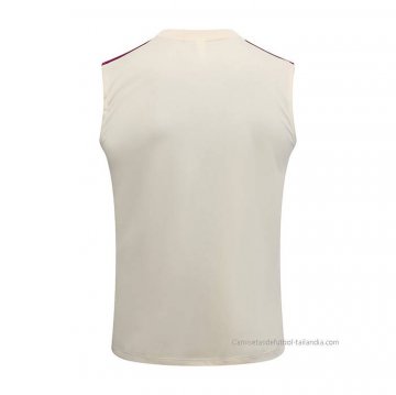 Camiseta de Entrenamiento Paris Saint-Germain Sin Mangas 2023-2024 Albaricoque