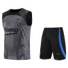 Chandal del Barcelona Sin Mangas 2022-2023 Gris Chandal del Barcelona Sin Mangas 2022-2023 Gris