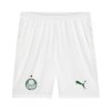 Pantalones Palmeiras 1ª 2026