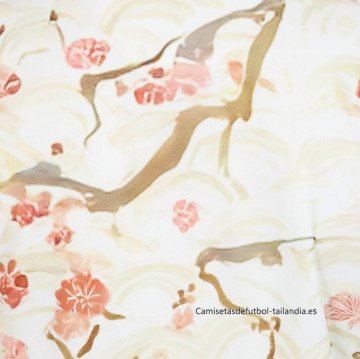 Tailandia Camiseta Sheffield United Special 2025-2026