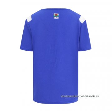 1ª Camiseta Cardiff City 2026-2027