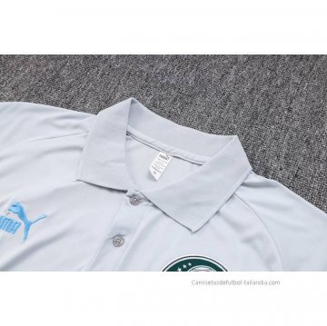 Camiseta Polo del Palmeiras 2023-2024 Gris