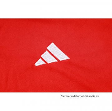 Camiseta Polo del SC Internacional 2024-2025 Rojo