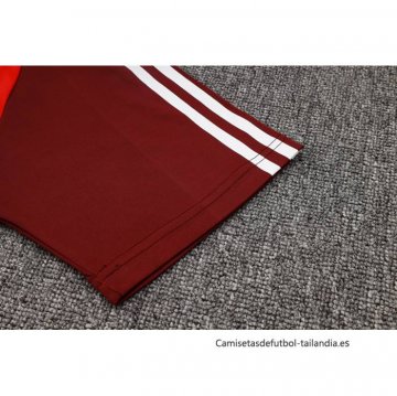 Camiseta Polo del SC Internacional 2024-2025 Rojo
