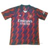Camiseta de Entrenamiento Arsenal 2021 Rojo Camiseta de Entrenamiento Arsenal 2021 Rojo