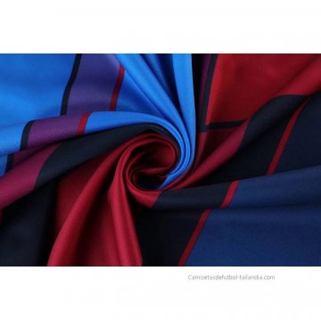 Camiseta de Entrenamiento Barcelona Sin Mangas 2022-2023 Azul y Rojo