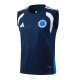 Camiseta de Entrenamiento Cruzeiro Sin Mangas 2025-2026 Azul