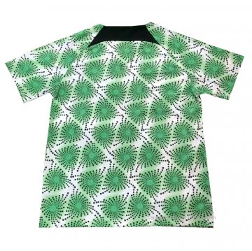 Camiseta de Entrenamiento Nigeria 2022 Verde