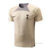 Camiseta de Entrenamiento Tottenham Hotspur 2022-2023 Camiseta de Entrenamiento Tottenham Hotspur 2022-2023