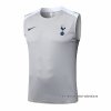 Camiseta de Entrenamiento Tottenham Hotspur Sin Mangas 2025-2026 Gris Camiseta de Entrenamiento Tottenham Hotspur Sin Mangas 2025-2026 Gris