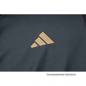 Chandal de Sudadera del Argentina 2024-2025 Gris