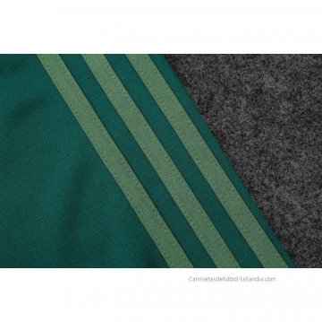 Chaqueta del Palmeiras 2022-2023 Verde