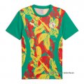 Camiseta Pre Partido del Senegal 2024 Verde