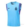 Camiseta de Entrenamiento Argentina Sin Mangas 2023-2024 Azul