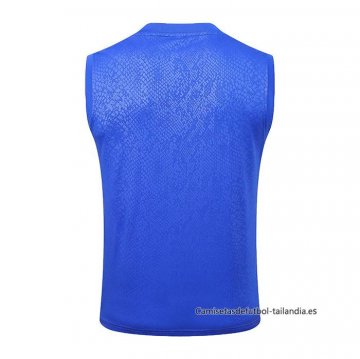 Camiseta de Entrenamiento Barcelona Sin Mangas 2025-2026 Azul Purpura