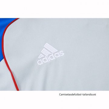 Camiseta de Entrenamiento Bayern Munich Sin Mangas 2025-2026 Gris