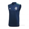 Camiseta de Entrenamiento Flamengo Sin Mangas 2021 Azul