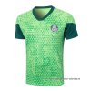 Camiseta de Entrenamiento Palmeiras 2024-2025 Verde Camiseta de Entrenamiento Palmeiras 2024-2025 Verde