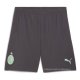 3ª Pantalones AC Milan 2024-2025