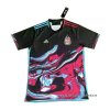 Tailandia Camiseta Argentina Special 2024-2025 Negro Tailandia Camiseta Argentina Special 2024-2025 Negro