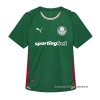 Tailandia 1ª Camiseta Palmeiras 2026