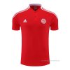 Camiseta Polo del Bayern Munich 2022-2023 Rojo Camiseta Polo del Bayern Munich 2022-2023 Rojo