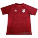 Camiseta de Entrenamiento Athletico Paranaense 2024-2025 Rojo